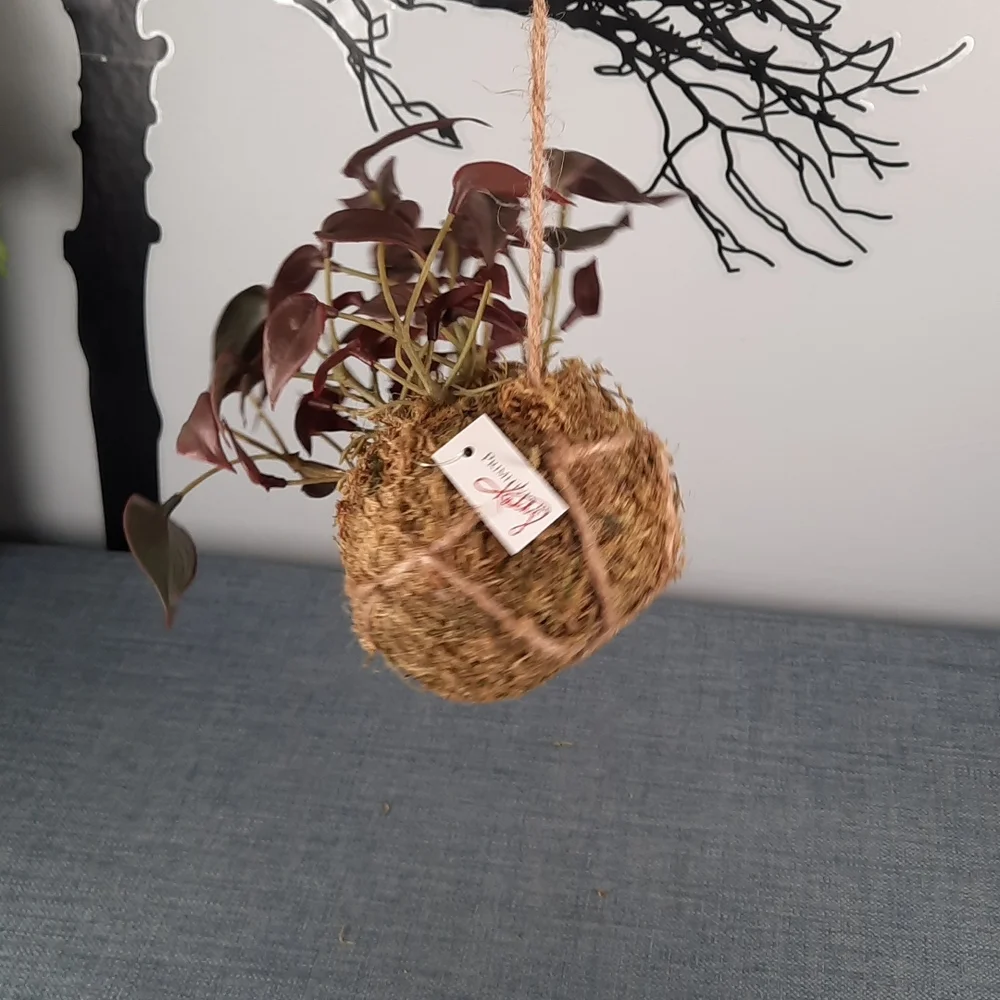 Kokedama Philodendron Artificial Plant Hanging Botanical Moss Home Decoration